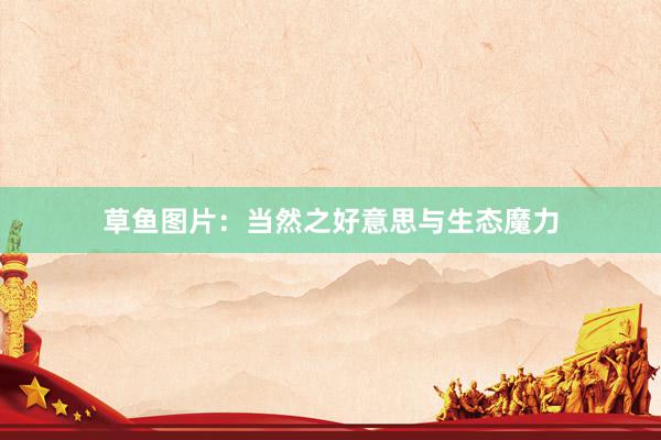 草鱼图片：当然之好意思与生态魔力
